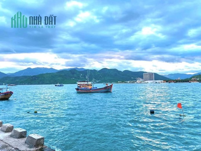 ĐẢO TRÍ NGUYÊN NHA TRANG . ĐẤT CÂY LÂU NĂM QUY HOẠCH THỔ CƯ