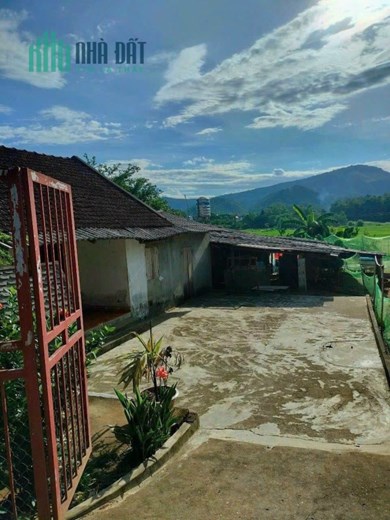 View đỉnh cao, đảo trong cánh đồng, diện tích nhỏ 560m dễ mua, đường to