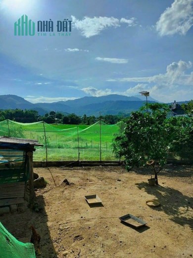 View đỉnh cao, đảo trong cánh đồng, diện tích nhỏ 560m dễ mua, đường to
