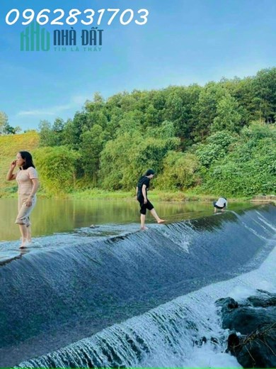 Bán 2,2ha 2000tc và cln giá chỉ 1X tỷ, đất bám suối to đẹp- làm việc chính chủ
