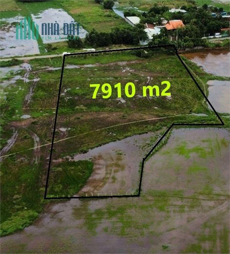 Gấp! Bán 8000m2 đất Mặt tiền đường Xuân Thới Sơn, Hóc Môn – chỉ 5tr/m2