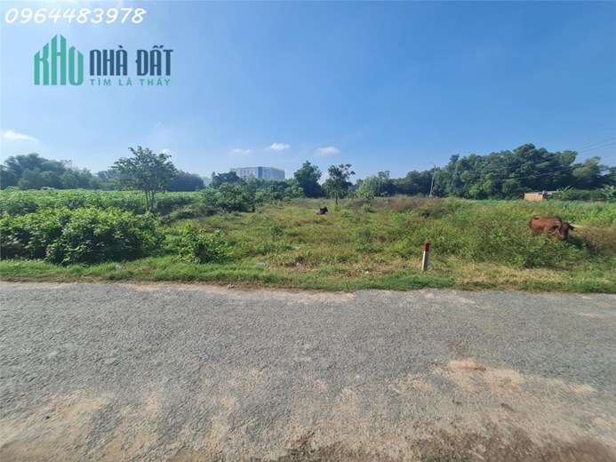 Đất ngay Bệnh Viện Xuyên Á, Trung Tâm Gò Dầu, Tây Ninh
