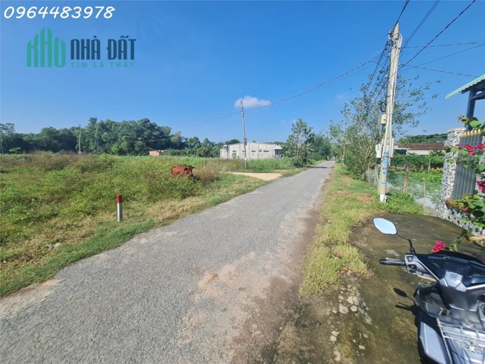 Đất ngay Bệnh Viện Xuyên Á, Trung Tâm Gò Dầu, Tây Ninh