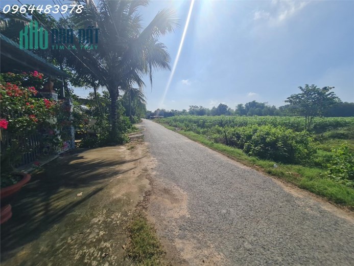 Đất ngay Bệnh Viện Xuyên Á, Trung Tâm Gò Dầu, Tây Ninh