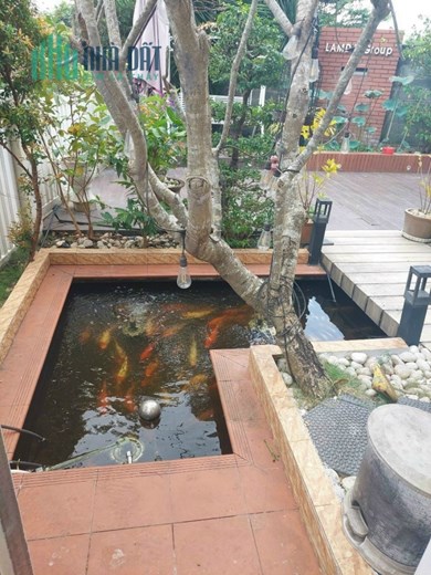 Bán biệt thự sân vườn ngay MT Vườn Lài Quận 12, SHR 195m2 15 tỷ. Lh;0909156970