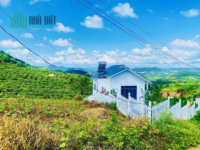 Đất nền mặt tiền tại Thị Trấn Nam Ban huyện Lâm Hà giá sốc