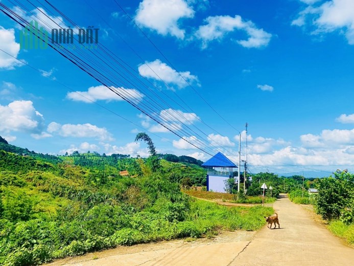 Đất nền mặt tiền tại Thị Trấn Nam Ban huyện Lâm Hà giá sốc