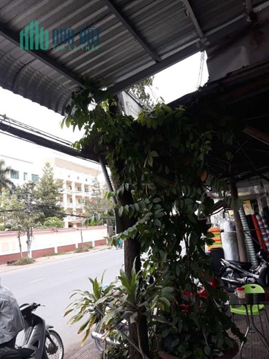 Cho thuê nhà lầu đường Lê Hồng Phong thuận tiện kinh doanh