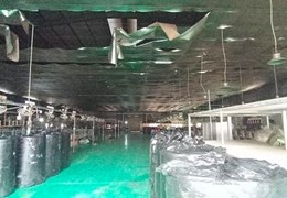 Cho thuê nhà xưởng bình dương tổng đất 4500m nhà xưởng 2000m văn phòng 300m giá 2.6usd