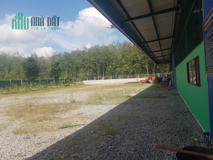 Cho thuê nhà xưởng bình dương tổng đất 14000m nhà xưởng 8000m văn phòng 300m giá 220 triệu