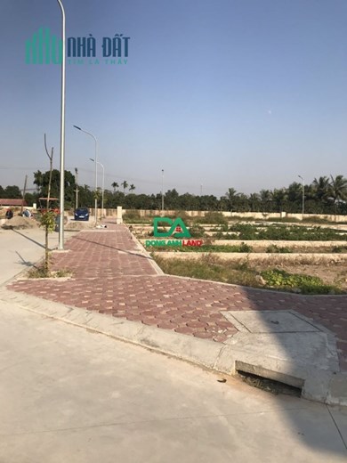 Đất đấu giá điểm x1 thôn Hội Phụ xã Đông Hội gần Vinhomes Cổ Loa