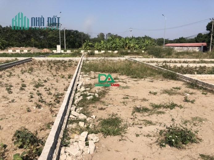 KHU ĐẤT ĐẤU GIÁ X1 THÔN HỘI PHỤ XÃ ĐÔNG HỘI