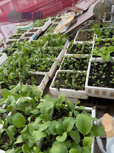 Bán Nhà Ngộp Mặt Tiền Phú Thọ Hoà, 5 Tầng Đẹp, Vị Trí Đỉnh, Hoàn Công Đủ, Giá Đầu Tư