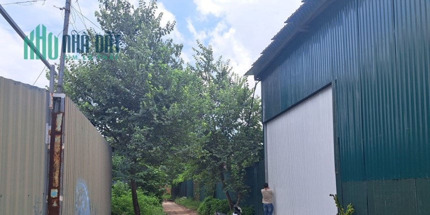 CẦN CHO THUÊ KHO NHÀ XƯỞNG THANH TRÌ - KHU VẠN PHÚC 600M2, MT 12M, GIÁ 38 TRIỆU/THÁNG.