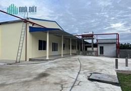 Cho thuê 6.000m2 xưởng mới xây dựng ở TT Mỹ Phước, Tân Phước, Tiền Giang