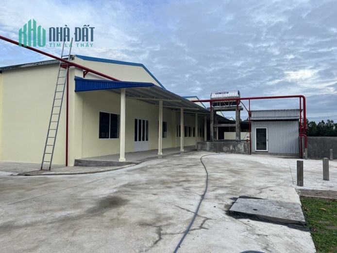 Cho thuê 6.000m2 xưởng mới xây dựng ở TT Mỹ Phước, Tân Phước, Tiền Giang