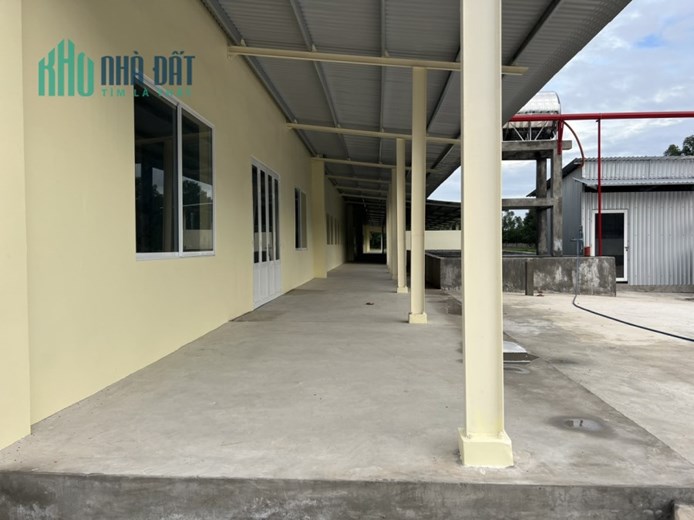 Cho thuê 6.000m2 xưởng mới xây dựng ở TT Mỹ Phước, Tân Phước, Tiền Giang
