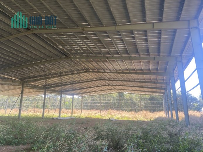 Chuyển nhượng 62.000m2 đất (SKC) ở Đồng Phú, Bình Phước. Gần DT741