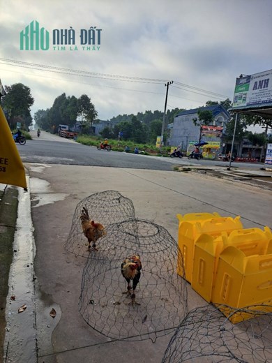 Chính chủ cần sang kiot gần Đường DJ5 - NJ2 nằm cạnh tiệm tạp hóa Lục Dung buôn bán được