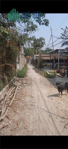 ĐẤT ĐẸP - GIÁ TỐT - Cần Bán Lô Đất Vị Trí Đắc Địa Tại Xã Thanh Phước, Huyện Gò Dầu, Tây Ninh