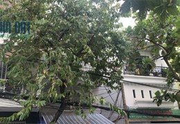 Khu VIP Tân Quy Đường 79 , vài bước ra mặt tiền , 3 tầng , ngang 4m , nhỉnh 5 tỷ