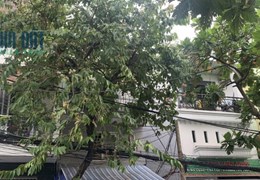 KHU VIP TÂN QUY ĐƯỜNG SỐ 10 , 3 tầng , ngang lớn 6.8 m , 62.4m2 , nhỉnh 6 tỷ , DÒNG TIỀN 24TR/THÁNG