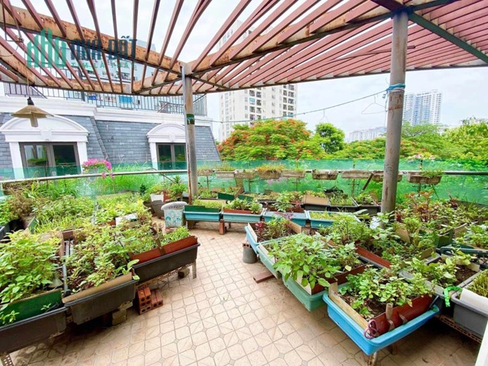 Chính chủ cần bán gấp nhà Biệt Thự khu Đô Thị Dịch Vọng Thọ Tháp Cầu Giấy dt 268 m2 giá 72 tỷ