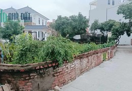 đất ĐÔNG DƯ( GIA LÂM)  300 m2 , vuông như tờ A4 , ngõ ô tô thông.. giá đầu tư.(rẻ bất ngờ)