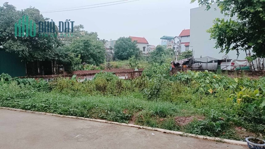 đất ĐÔNG DƯ( GIA LÂM)  300 m2 , vuông như tờ A4 , ngõ ô tô thông.. giá đầu tư.(rẻ bất ngờ)