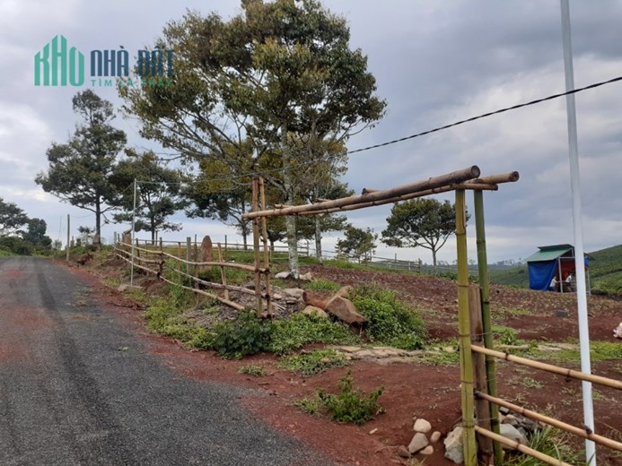 HÓT HÓT-CHÍNH CHỦ BÁN ĐẤT TRUNG TÂM HUYỆN DI LINH – LÂM ĐỒNG