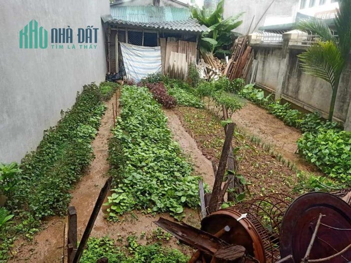 Bán Gấp-70m²đất-MT 4m-Ô tô vào đất-Tại Uy Nỗ-Đông Anh-chỉ 3 tỷ