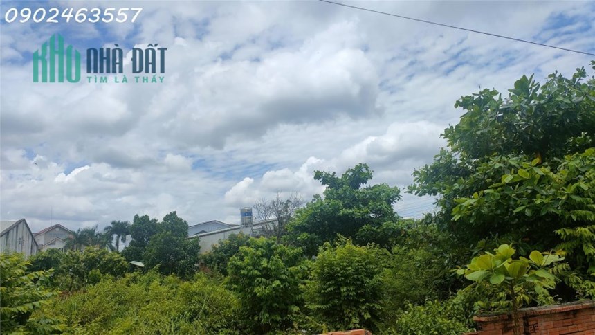 Tiềm năng sinh lời - Đầu tư đất rộng 28x28m tại Tây Ninh.