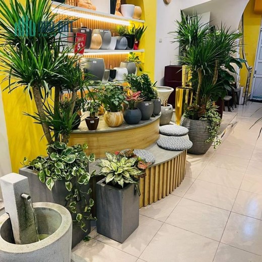 Bán nhà mặt phố Nguyễn Văn Cừ, Long Biên. DT55m, MT5.5m, 5 tầng, giá nhỉnh 13 tỷ
