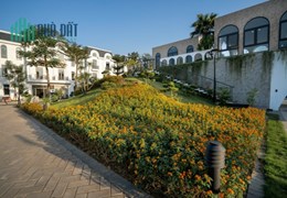 Cắt lỗ 1tỷ liền kề khu Hermes Crown Villas Thái Hưng, mua bán nhà biệt thự liền kề KĐT Crown Villas