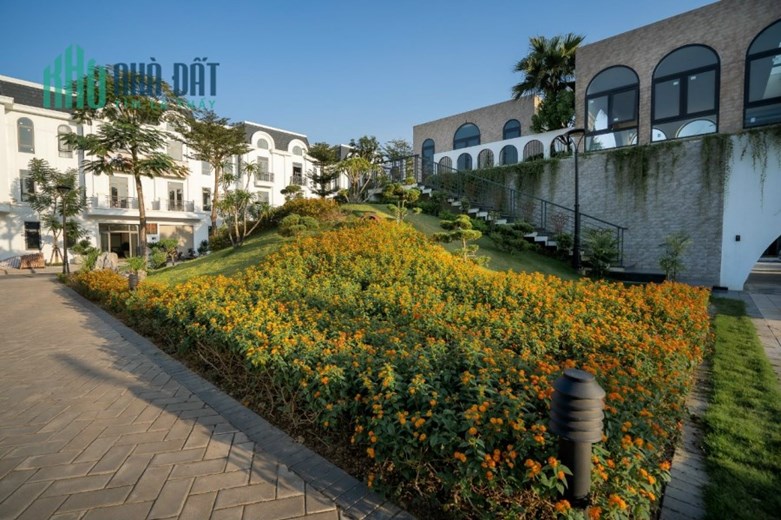 Cắt lỗ 1tỷ liền kề khu Hermes Crown Villas Thái Hưng, mua bán nhà biệt thự liền kề KĐT Crown Villas