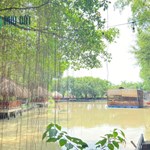 Chính chủ sang nhượng Nhà Hàng Ẩm Thực Cây Si Đường nước thông thẳng ra sông đồng Nai
