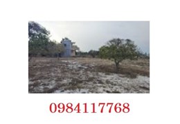 ⭐BÁN ĐẤT VƯỜN đẹp có 1 không 2 thị trấn Chợ Lầu, Bắc Bình, Bình Thuận; 3,6 tỷ; 0984117768