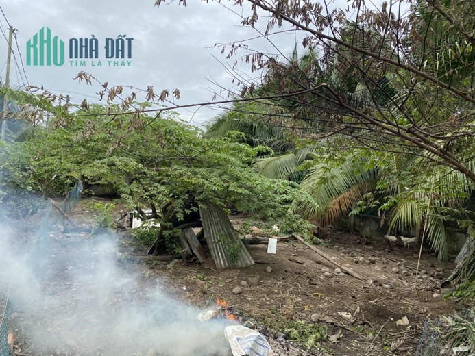 Lô Đất Mặt Tiền Lộ Nhựa 10m Tại Xã Long Hòa, Bình Đại, Bến Tre - Cơ Hội Đầu Tư Đáng Chú ý