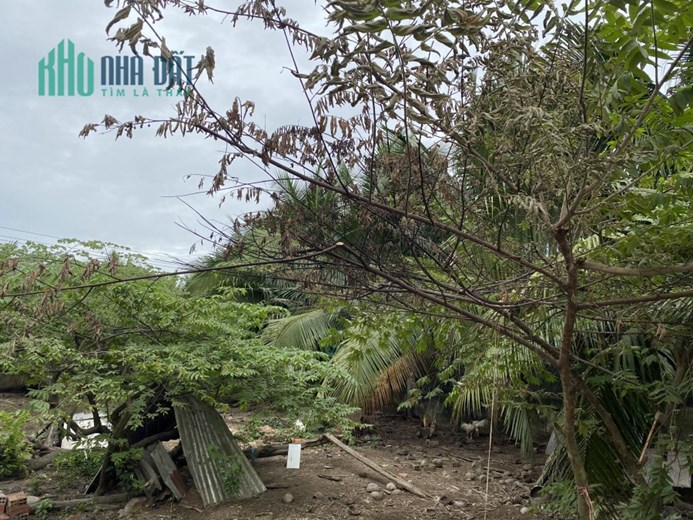 Lô Đất Mặt Tiền Lộ Nhựa 10m Tại Xã Long Hòa, Bình Đại, Bến Tre - Cơ Hội Đầu Tư Đáng Chú ý