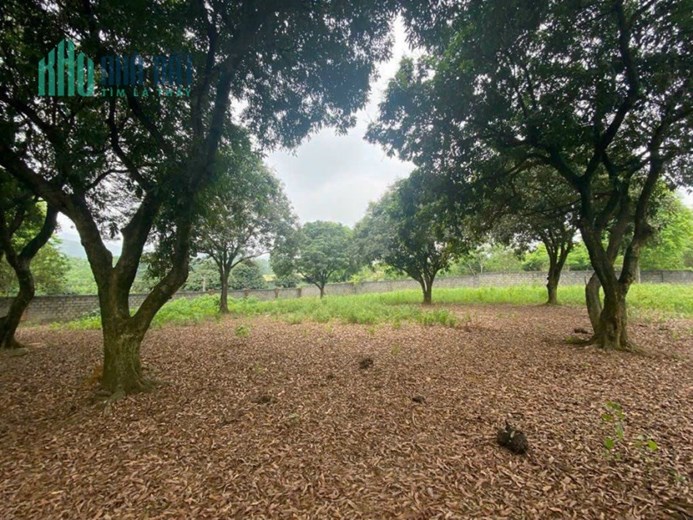 HIẾM CÓ KHÓ TÌM 5500M2 800 THỔ CƯ CẠNH SÂN GOLF SKY LAKE GIÁ RẺ