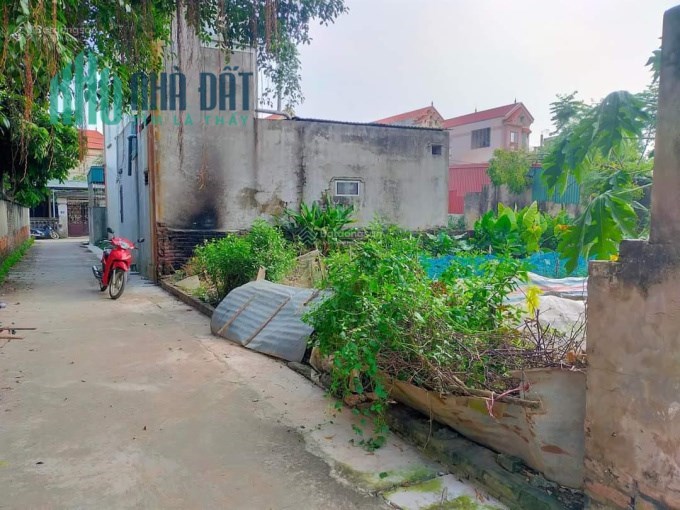 Bán 147m2 đất xã Chương Dương, Thường Tín xe oto đỗ cửa.