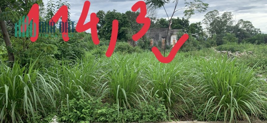 Duy nhất 1 lô 114,3m2 full thổ cư gần 5m mặt tiền, đuòng ô tô tránh nhau. Cam kết pháp lý rõ ràng.
