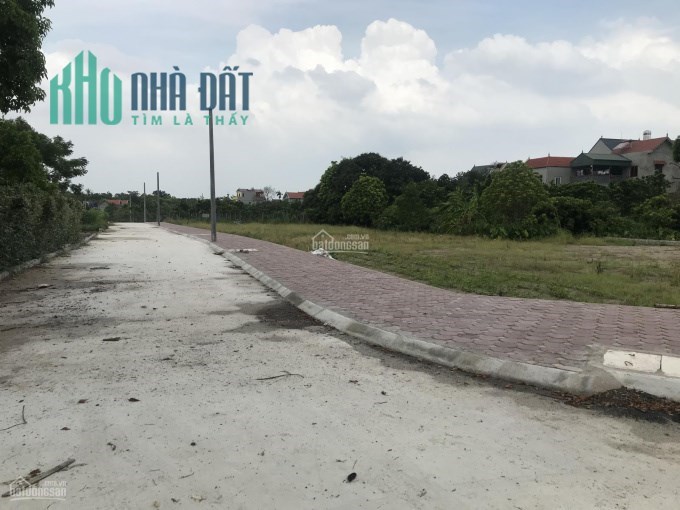 Bán đất đấu giá Chương Lộc, Chương Dương, huyện Thường Tín, Hà Nội.