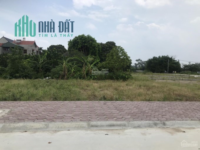 Bán đất đấu giá Chương Lộc, Chương Dương, huyện Thường Tín, Hà Nội.