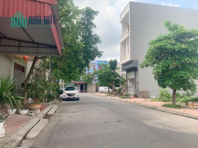 [BÁN TRONG TUẦN] DÃN DÂN BỒ SƠN VÕ CƯỜNG- CẠNH HUD TRẦU CAU -3 BƯỚC RA LÝ ANH TÔNG- GIÁ SIÊU MỀM!
