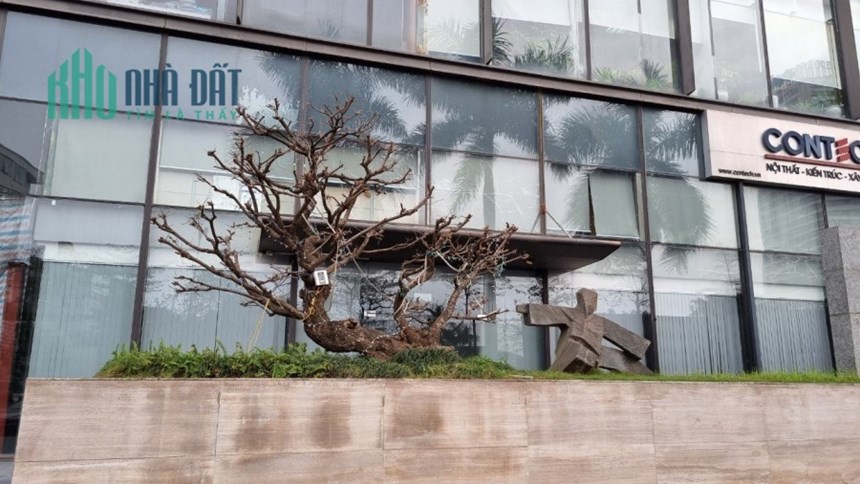 Siêu phẩm hàng hiếm: Cho thuê 2300m2 làm nhà hàng, siêu thị tại Dolphin Plaza, q. Nam Từ Liêm