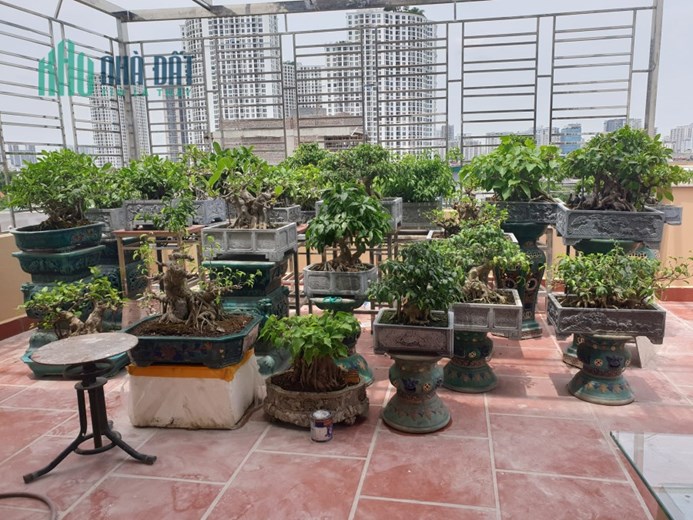 Thái Thịnh, Đống Đa, tòa nhà 9 tầng thang máy otô tránh kinh doanh view royal city