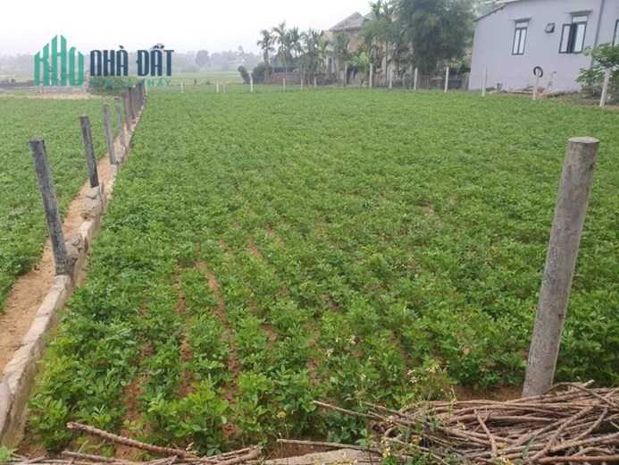 Chính chủ kẹt ngân hàng cần bán gấp trong 1 tuần giảm giá sâu cho khách thiện chí LH 0902 248 463