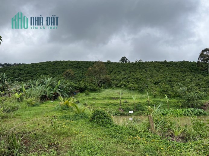 ĐẤT  ĐẸP - GIÁ TỐT-CHÍNH CHỦ Cần Bán Lô Đất Tại  Gung Ré, Di Linh, Lâm Đồng