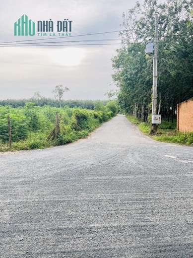 BÁN 3300m2 ĐẤT MẶT TIỀN GIỒNG CÀ BÌNH MINH TP. TÂY NINH GIÁ 4,5 TỶ (TL) LH 0799916699/ 0963391313